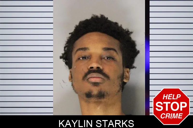 Kaylin Starks Mugshots