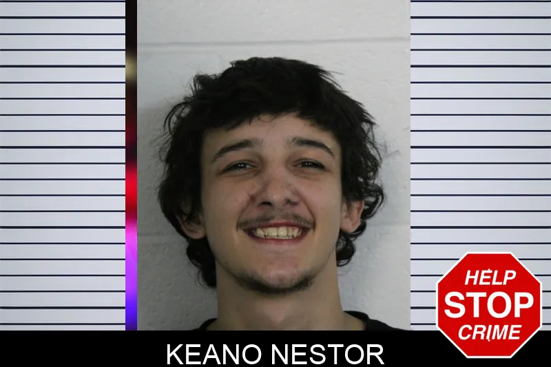 Keano Nestor Mugshots