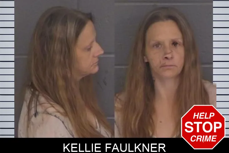 Kellie Faulkner Mugshots