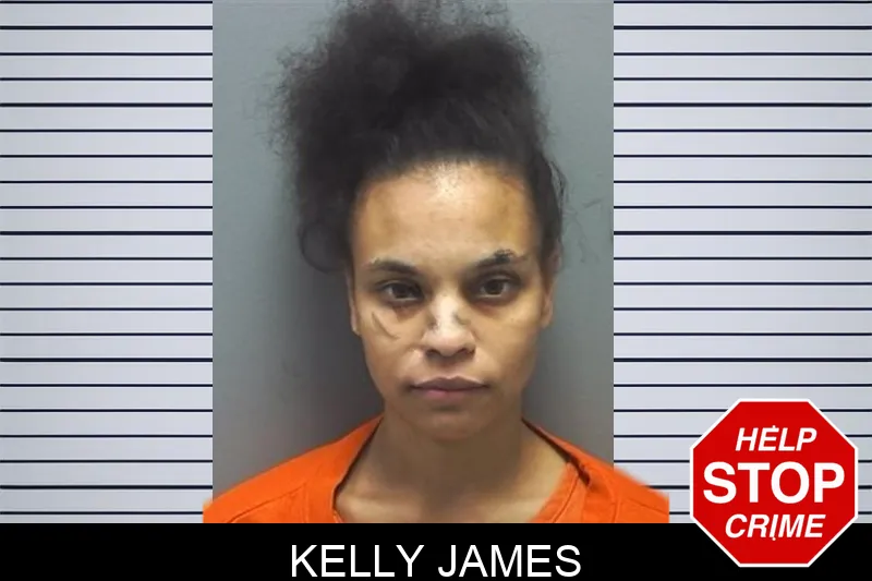 Kelly James Mugshots