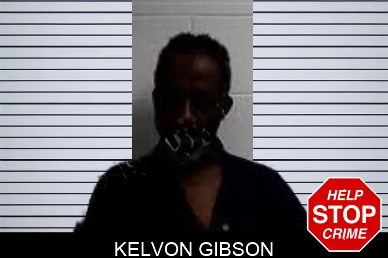 Kelvon Gibson Mugshots