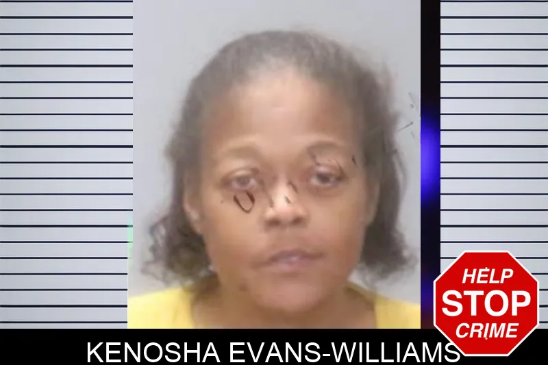 Kenosha Evans-Williams Mugshots