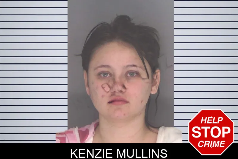 Kenzie Mullins Mugshots