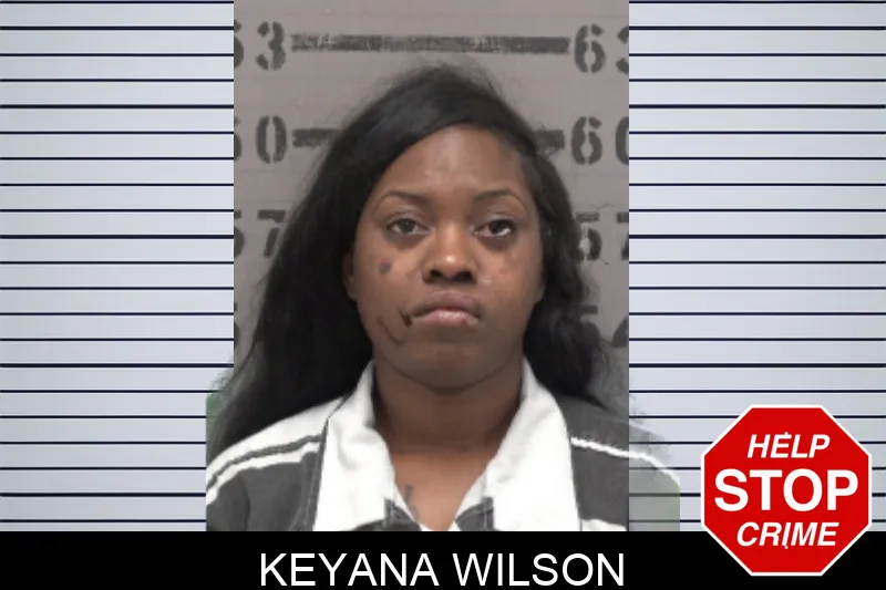 Keyana Wilson Mugshots