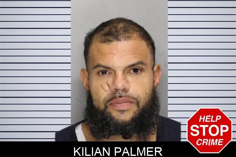 Kilian Palmer Mugshots