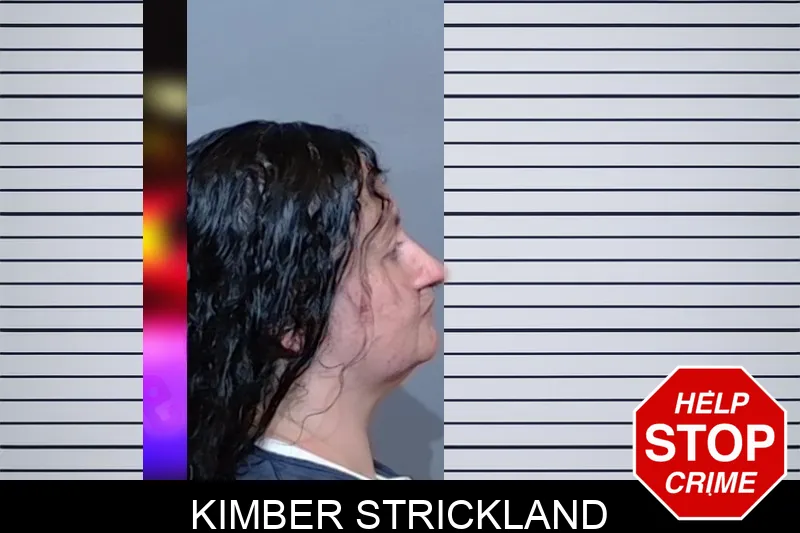 Kimber Strickland Mugshots