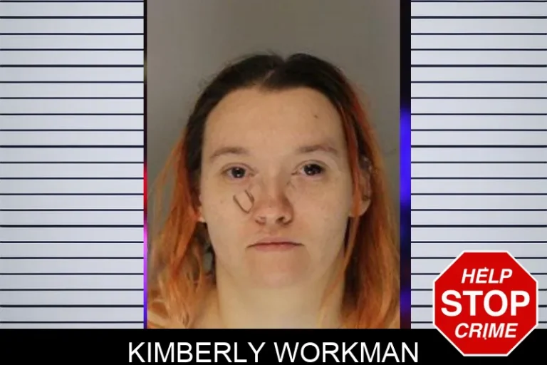 Kimberly Workman mugshot – Hall County , Georgia Kimberly Workman