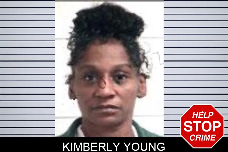 Kimberly Young Mugshots