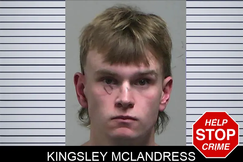 Kingsley McLandress Mugshots