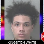 Kingston White Mugshots