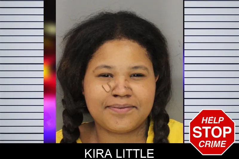 Kira Little Mugshots