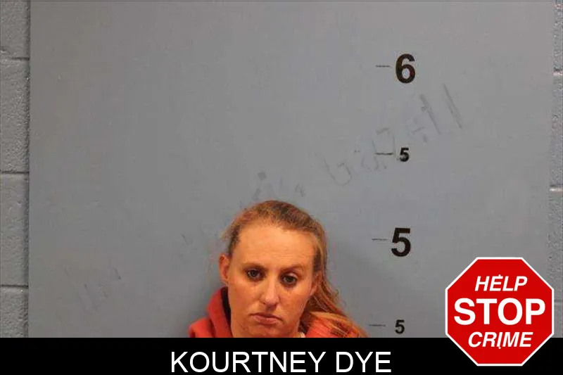 Kourtney Dye Mugshots