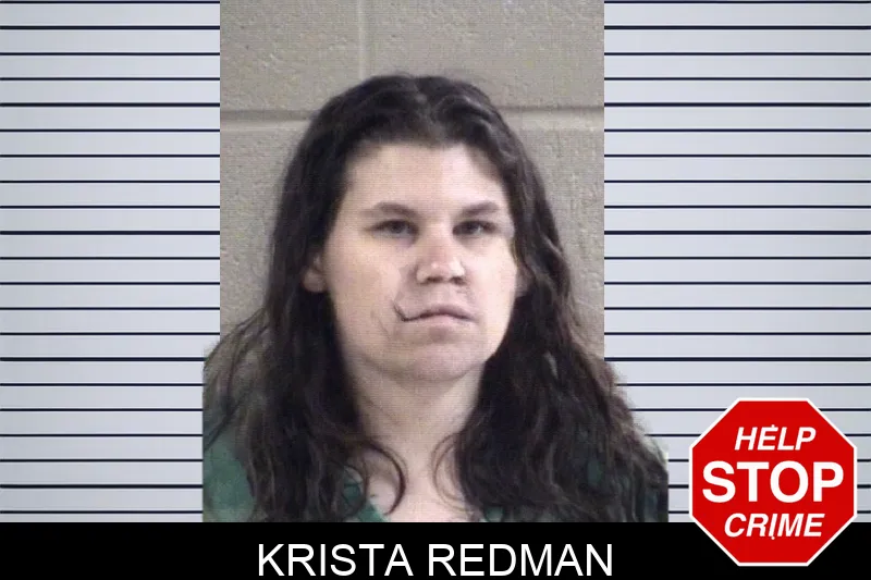Krista Redman Mugshots