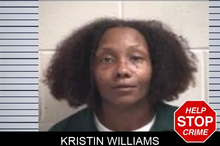 Kristin Williams mugshot – Henry County , Georgia Kristin Williams