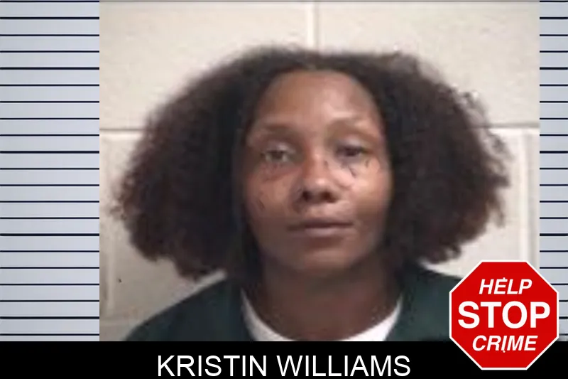 Kristin Williams Mugshots