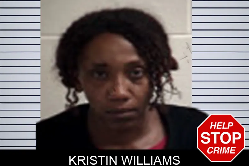 Kristin Williams Mugshots