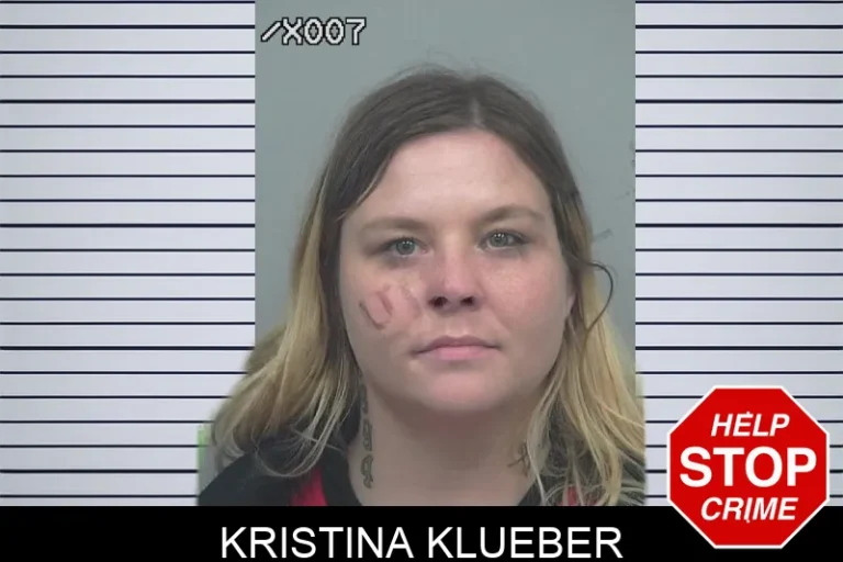 Kristina Klueber mugshot – Gwinnett County , Georgia Kristina Klueber