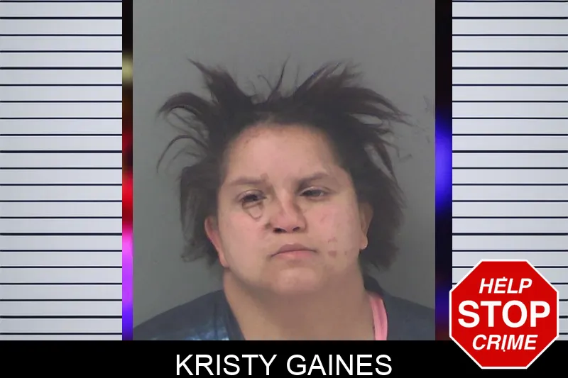 Kristy Gaines Mugshots