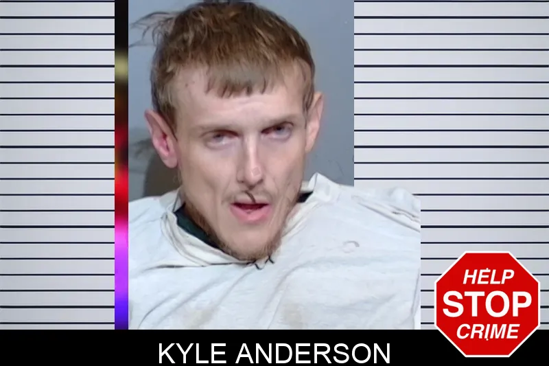 Kyle Anderson Mugshots