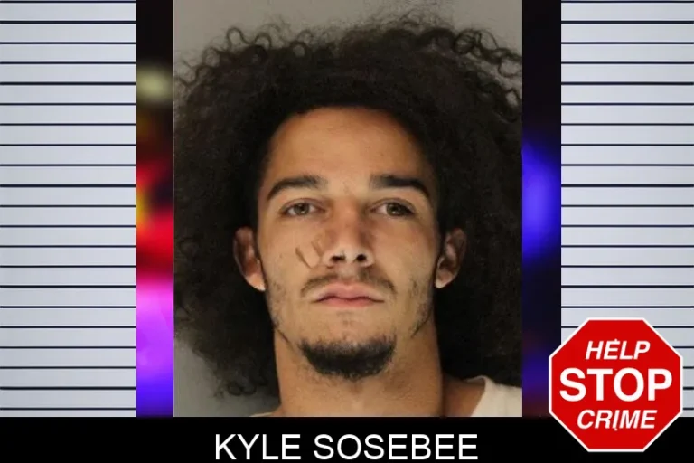 Kyle Sosebee mugshot – Hall County , Georgia Kyle Sosebee