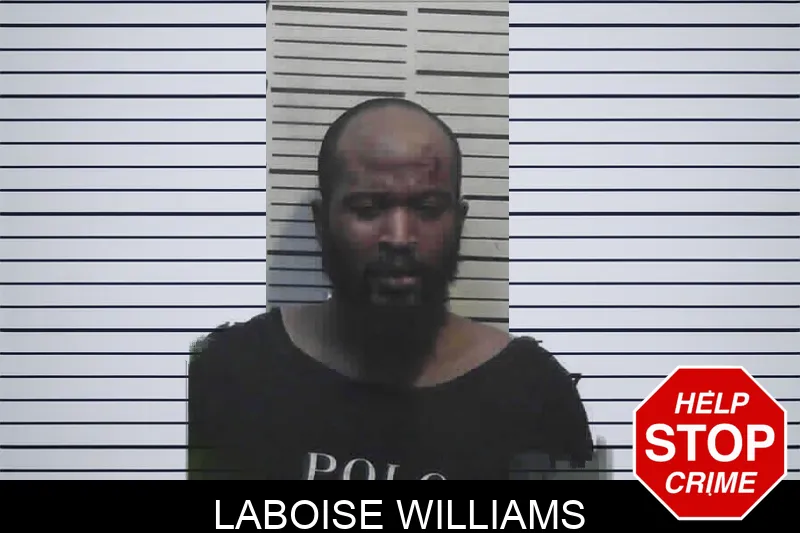 Laboise Williams Mugshots