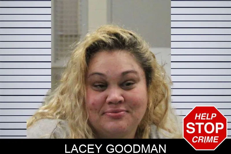 Lacey Goodman Mugshots