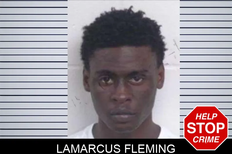 Lamarcus Fleming Mugshots