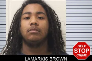 Lamarkis Brown mugshot