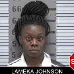 Lameka Johnson Mugshots