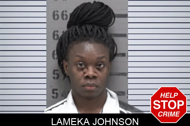 Lameka Johnson Mugshots