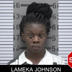 Lameka Johnson Mugshots