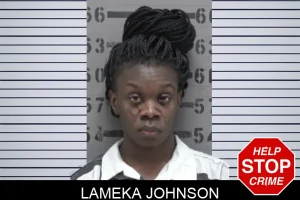 Lameka Johnson mugshot