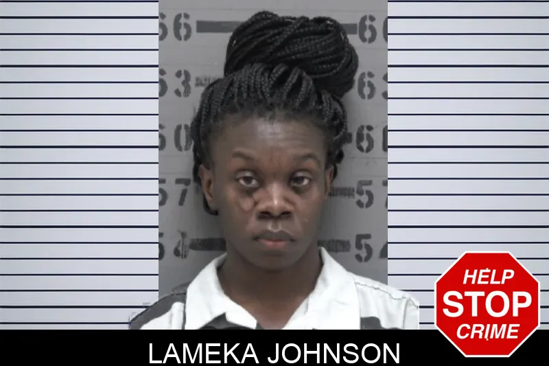 Lameka Johnson Mugshots