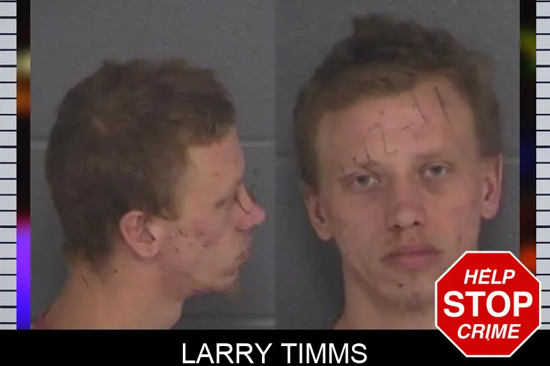 Larry Timms Mugshots