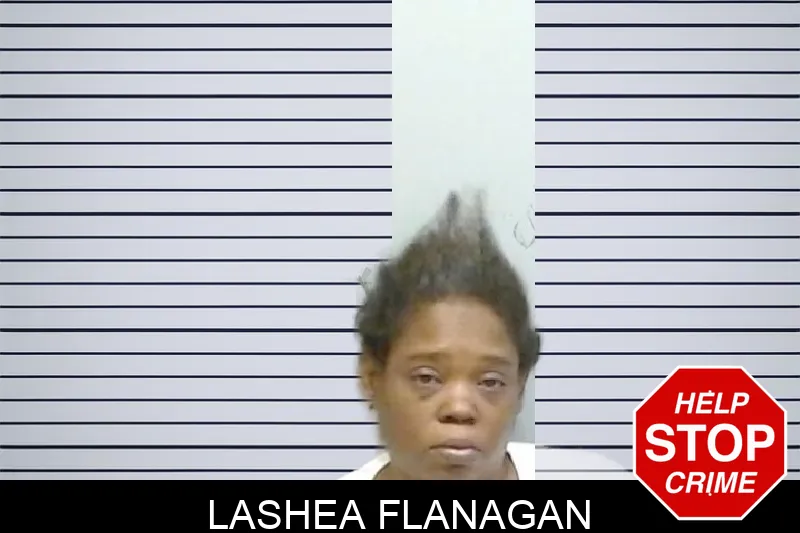Lashea Flanagan mugshot – Fulton County , Georgia Lashea Flanagan mugshot