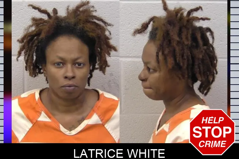Latrice White Mugshots