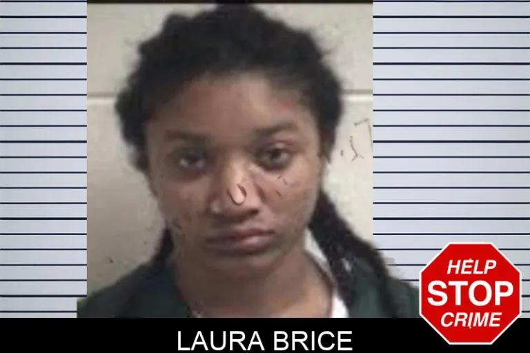 Laura Brice mugshot – Henry County , Georgia Laura Brice