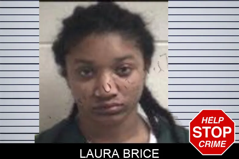 Laura Brice mugshot