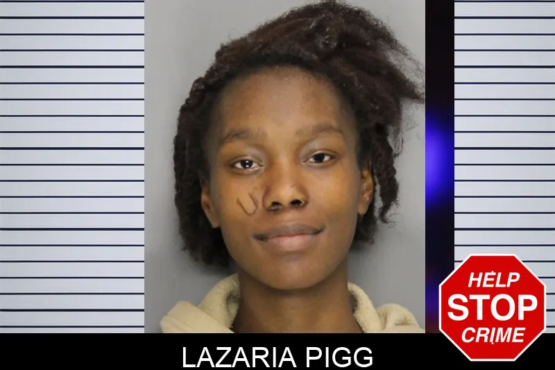 Lazaria Pigg Mugshots
