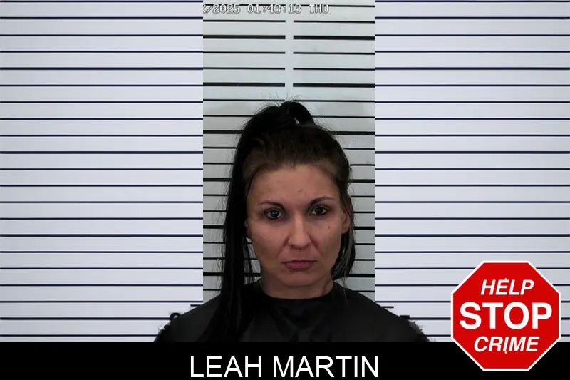 Leah Martin Mugshots