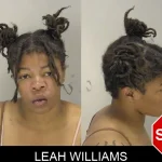 Leah Williams Mugshots