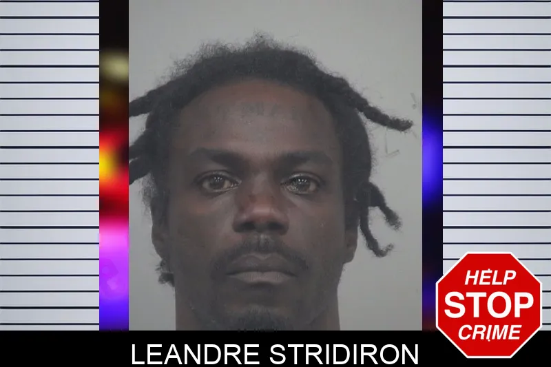 Leandre Stridiron mugshot – Gwinnett County , Georgia Leandre Stridiron mugshot