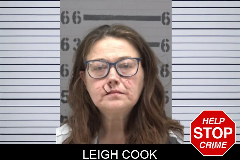 Leigh Cook Mugshots