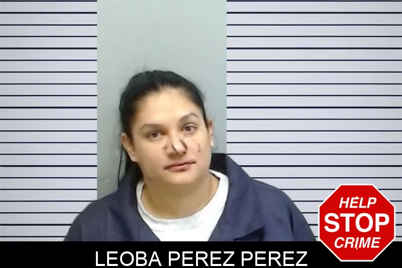 Leoba Perez Perez Mugshots