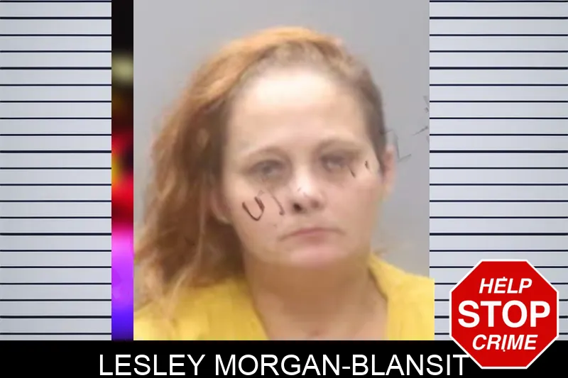 Lesley Morgan-Blansit