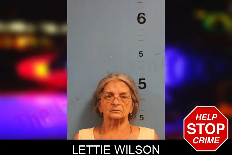 Lettie Wilson Mugshots