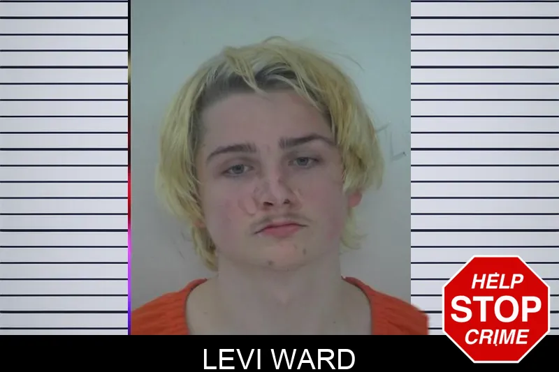 Levi Ward Mugshots