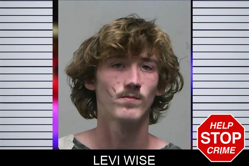 Levi Wise Mugshots