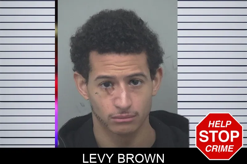 Levy Brown Mugshots