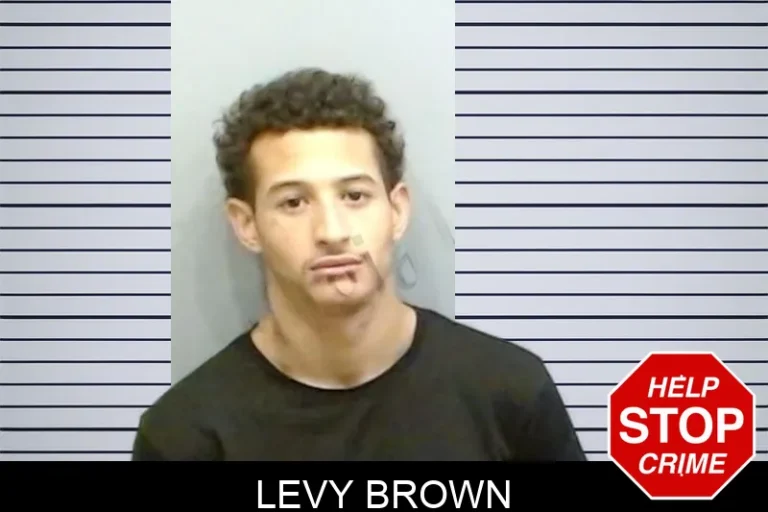 Levy Brown